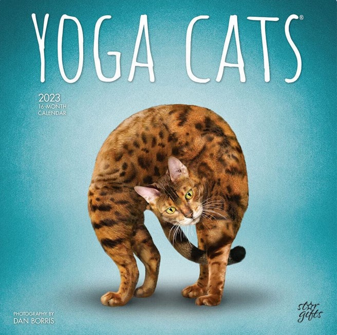 Name:  Screenshot 2023-02-02 at 12-48-06 Browntrout Yoga Cats 2023 12 X 12 Wall Calendar - Etsy Canada.jpeg
Views: 77
Size:  140.8 KB