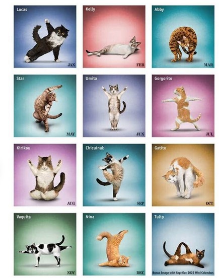 Name:  Screenshot 2023-02-02 at 12-47-29 Browntrout Yoga Cats 2023 12 X 12 Wall Calendar - Etsy Canada.jpeg
Views: 77
Size:  62.9 KB