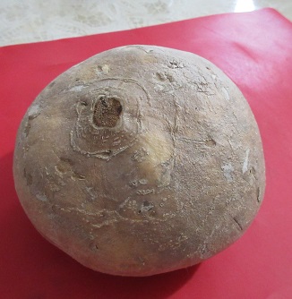 Name:  Jicama.jpg
Views: 106
Size:  55.2 KB