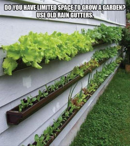 Name:  rain gutters.JPG
Views: 447
Size:  26.3 KB