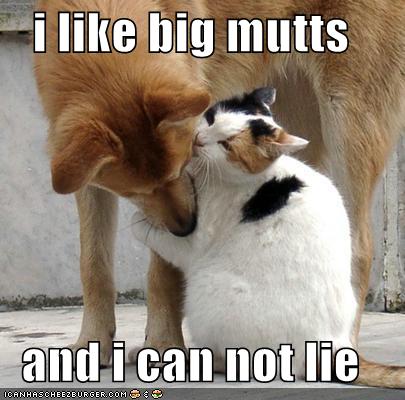 Name:  funny-pictures-cat-dog-love-mixalot.jpg
Views: 237
Size:  32.8 KB