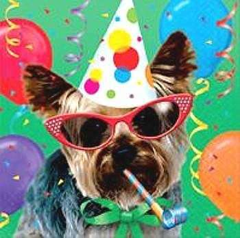 Name:  dog_birthday_party_pictures_2.jpg
Views: 190
Size:  19.7 KB
