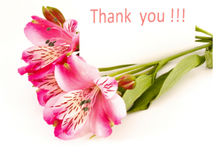 Name:  Thank-you-flowers-300x206.png
Views: 333
Size:  92.9 KB