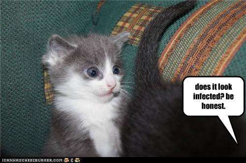 Name:  funny-pictures-does-it-look-infected-be-honest.jpg
Views: 625
Size:  26.6 KB