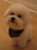 Joggy's Avatar