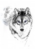 elleeze's Avatar