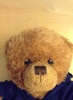 artbearlittleger's Avatar