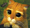 Campbell's Avatar