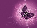 members/ashokia-albums-random-picture103975-purple-butterfly-wallpaper.jpg