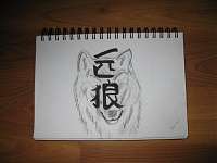 members/coyote00-albums-sketches-me-picture109979-lonewolf.jpg
