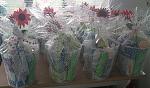 members/eriluo-albums-mother-s-day-shelter-baskets-picture92069-baskets3.jpg