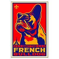 members/jenifer76-albums-playing-around-picture157186-obey-french-bulldog-posters.jpg