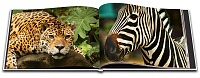 members/kulapix-albums-portfolio-photobooks-picture174095-photographer.jpg
