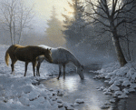 members/star84-albums-winter-christmas-picture107479-horseswatergif.gif