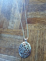 members/trinimoneysaver-albums-pampered-ladies-pkg-train-stuff-i-sent-my-buddy-picture173457-silver-necklace.jpg